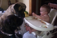 Kids and Dogs