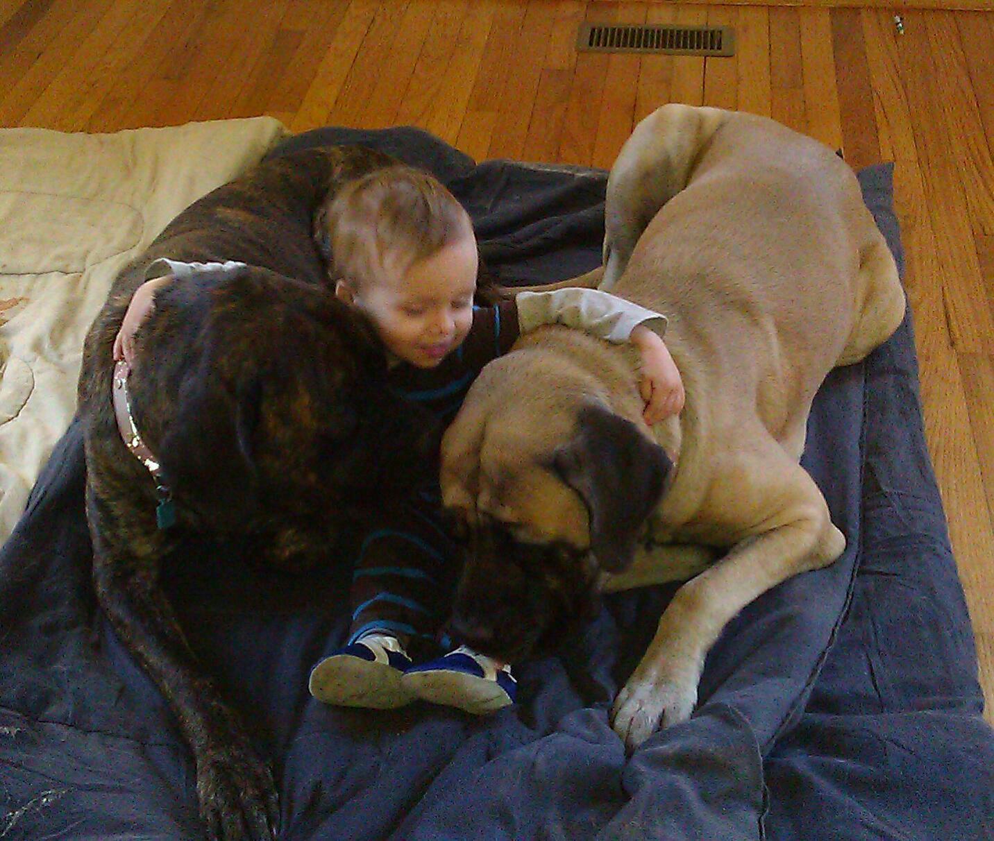 465603_10151112984286923_30805528_o