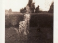 Unknown_008